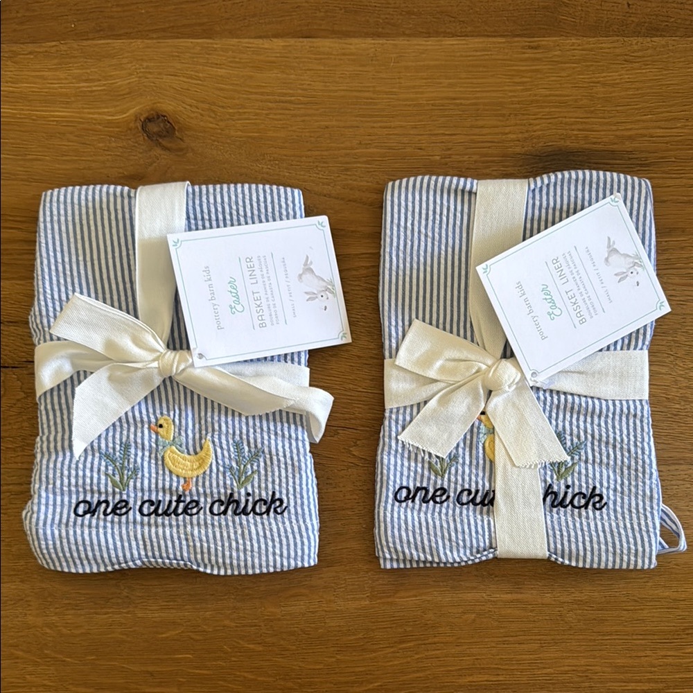 2 NWT Pottery Barn Seersucker Easter Basket Liners